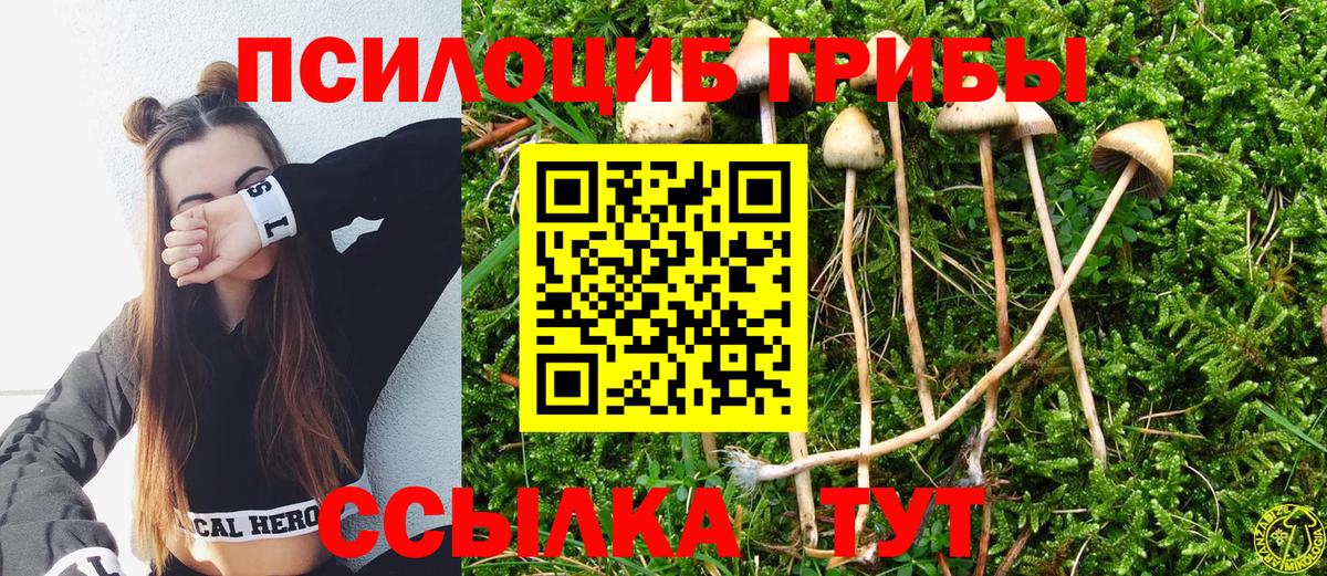 Новокубанск  Галлюциногенные грибы прущие грибы  Вход с VPN 